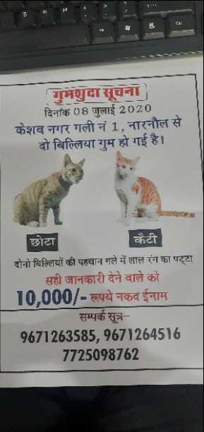 who gives information about chota and Katy Will get 10 thousand