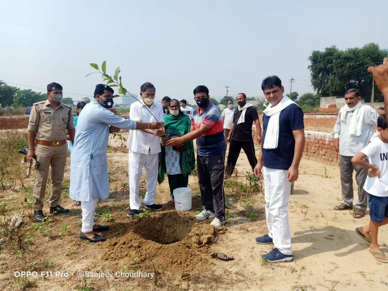 पौधे रोपकर दिया पर्यावरण संरक्षण का संदेश
