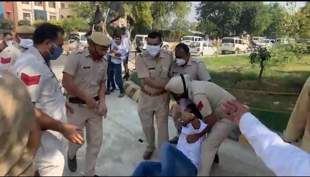 ट्रैक्टर यात्रा लेकर फतेहाबाद पहुंची सांसद दुग्गल को दिखाये काले झंडे
