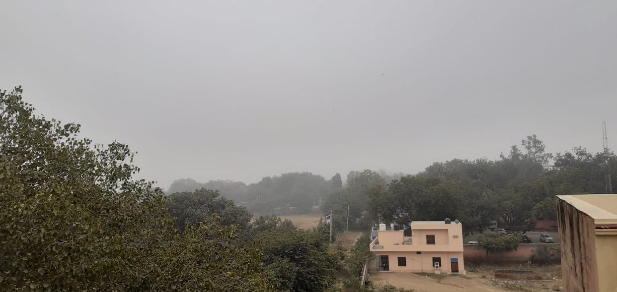 कोहरे के कारण विजिबिलिटी हुई कम,बढ़ी सर्दी