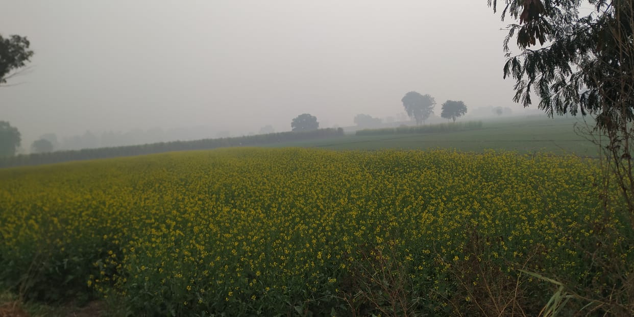 सुबह 3 बजे हुई हल्की बारिश, आज भी होने की संभावना