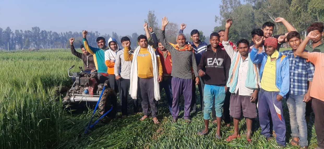 कृषि कानूनों के विरोध में किसान ने एक एकड़ खड़ी गेहूं की फसल कटवाकर गोशाला में की दान