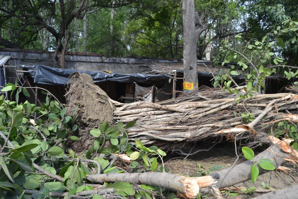 आंधी-बारिश में बिजली के 40 खम्बे गिरे, आपूर्ति बाधित