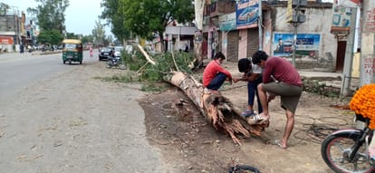 आंधी-बारिश में बिजली के 40 खम्बे गिरे, आपूर्ति बाधित