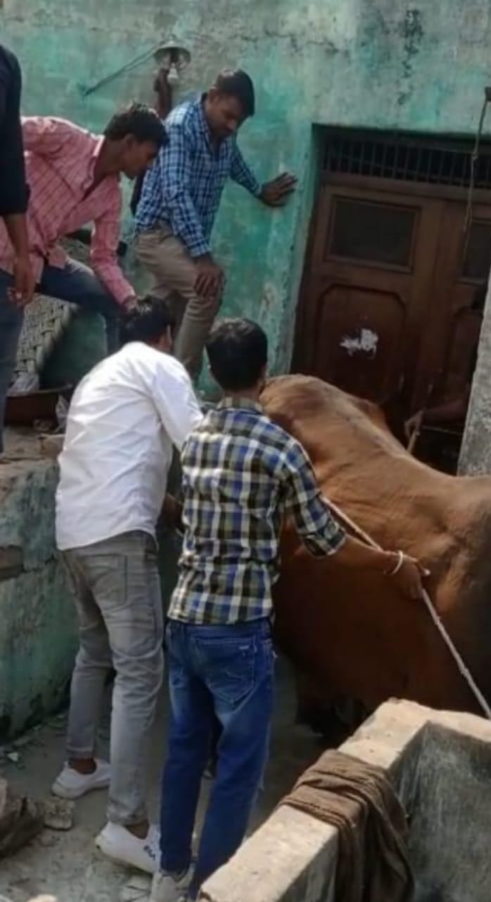 छपरौला में तीन दिन पहले छत पर चढ़ा साङ उतारा