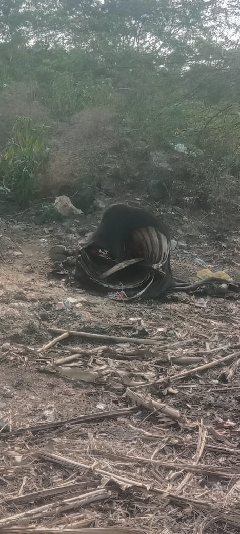 नूंह रोड पहाड़ में मृत मवेशियों की बदबू से राहगीर परेशान।
प्रशासन मौन।