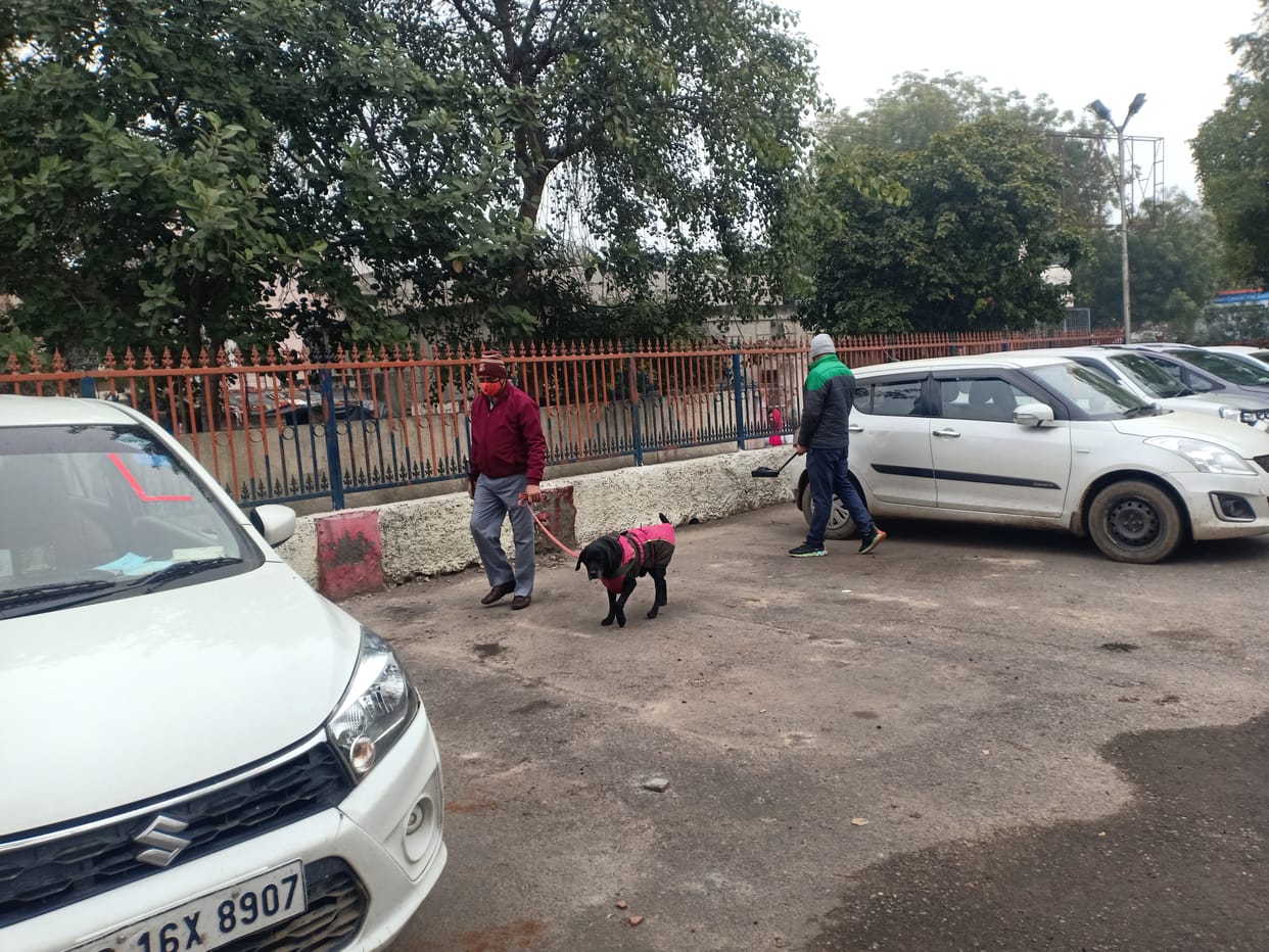 स्टेशन पर खड़े वाहनों की खोजी कुत्तों के साथ बम निरोधक दस्ते ने चेकिंग की