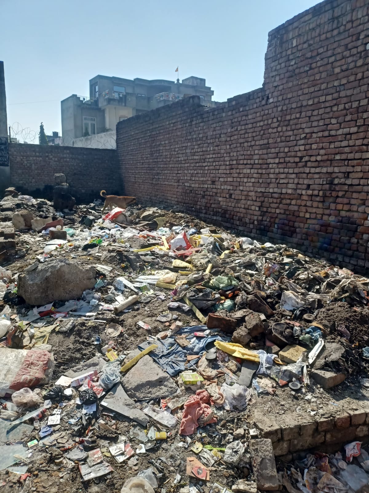 शीला बाईपास से आगे प्लाट को लेकर मारपीट, साढ़े 3 लाख भी छीने