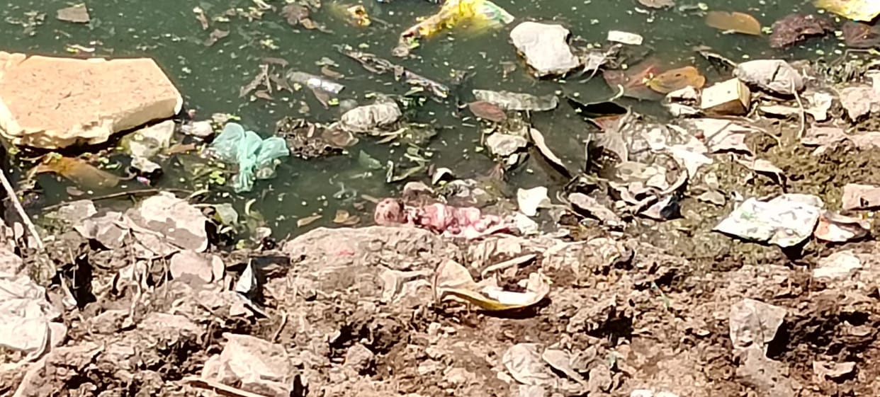 कलयुगी मां ने चार माह का भ्रूण तालाब में फेंका