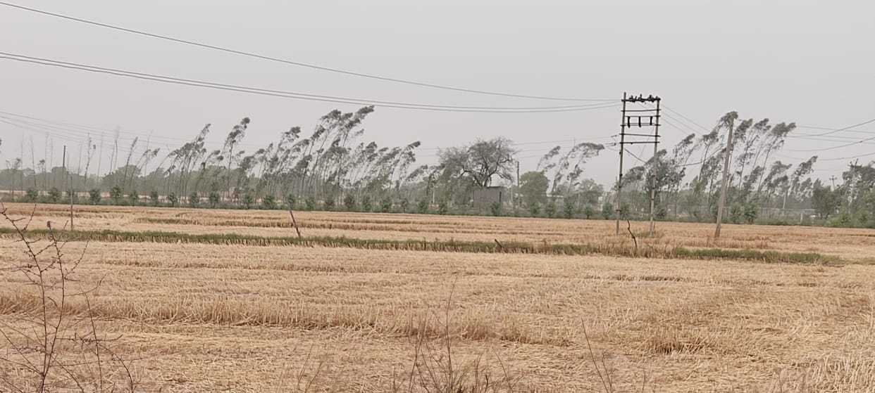 गर्मी से मिली राहत