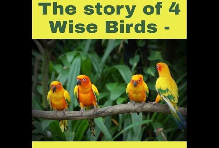 The story of Four Wise Birds