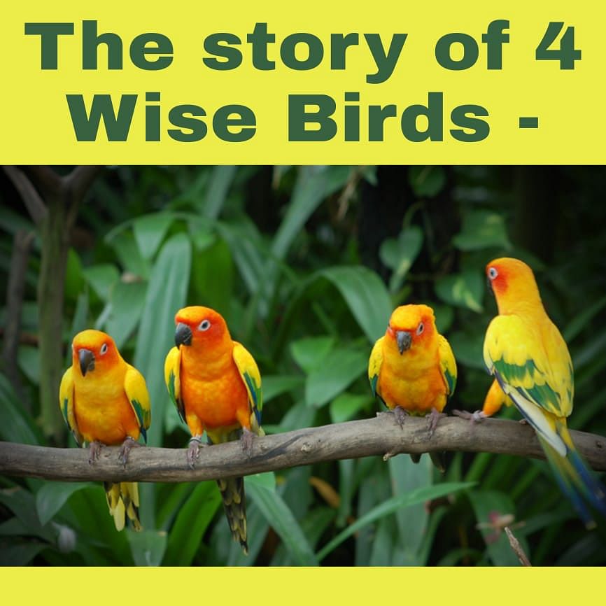 The story of Four Wise Birds