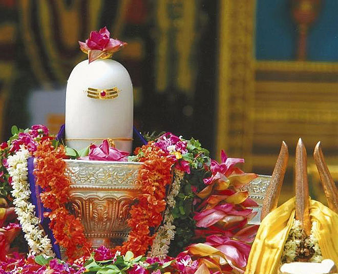 Shivling Puja Vidhi These 5 Things Should Never Be Offered To Lord Shiva In Sawan