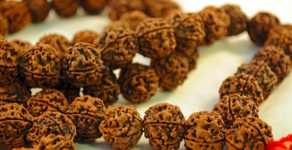 Know the significance and benefits of wearing Rudraksha and seek blessings of Lord Shiva
