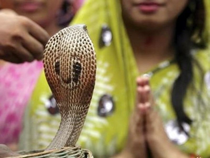 Nag panchami 2021: Read the Significance, Auspicious timings, Date and Remedies