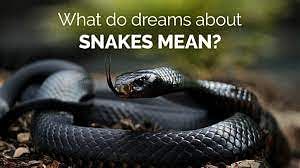 Do you see a snake in your dreams often?, read on to know it's meaning