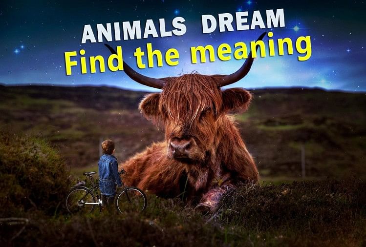 Meaning of seeing animals in your dreams