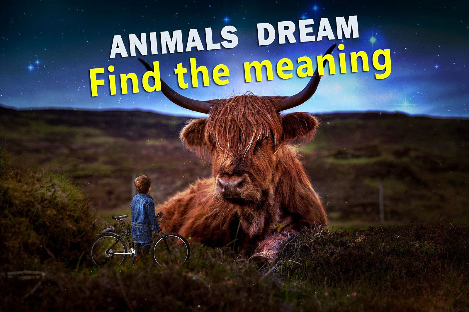 Meaning of seeing animals in your dreams