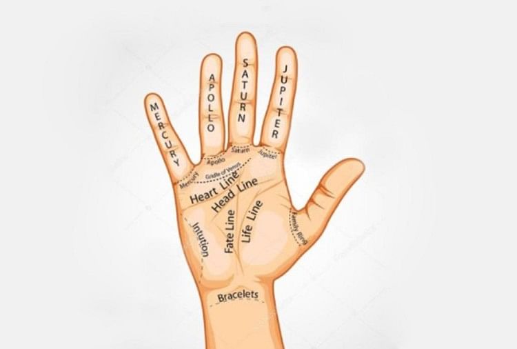 Palmistry : The future in the Palm of your Hand