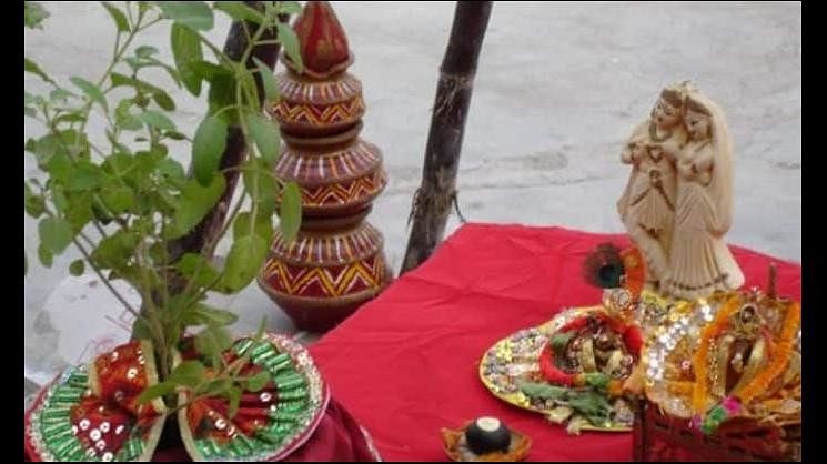 Tulsi Puja 2022 :do This Small Work At The Time Of Tulsi Puja To Get 