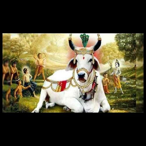 Gopastami Utsav and Bhav in Pustimarg- Karthika shuddha Ashtami- 11  November 2021 – Mahaprasada