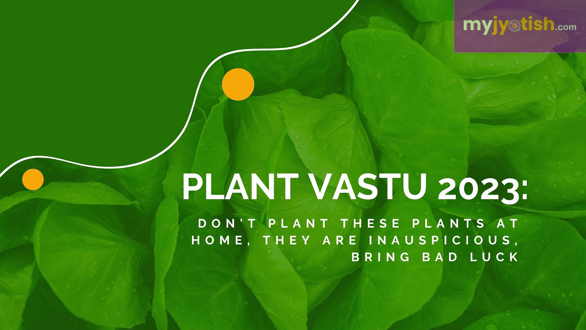 Plant Vastu 2023: