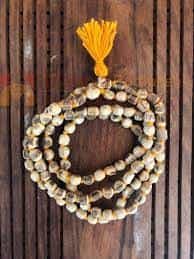 Tulsi Mala: Tulsi Mala Is As Revered As The Tulsi Plant, Know Its