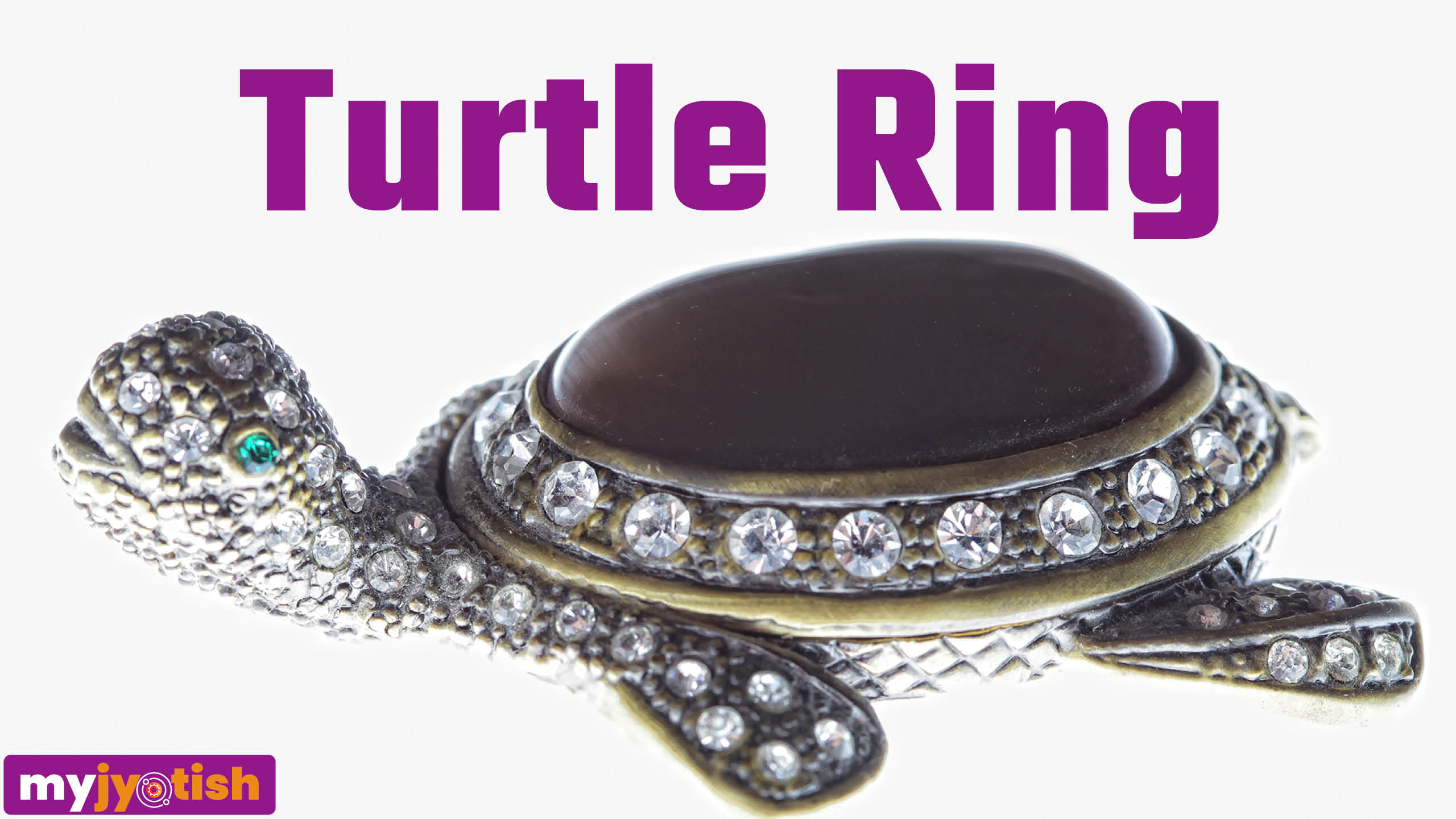 Turtle Ring: Everything You Need To Know About The Wealth-attracting