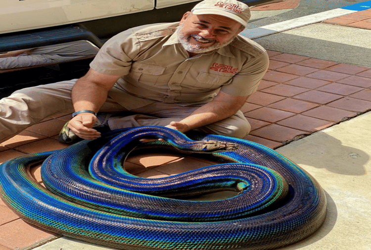 Rainbow Color Python Goes Viral On Social Media Netizens Were Shocked ...