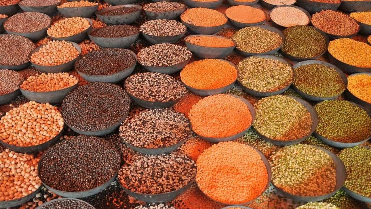 दालों में आत्मनिर्भरता मिशन