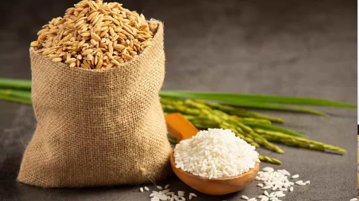 गेहूं और चावल के निर्यात पर रोक लगने की संभावना।