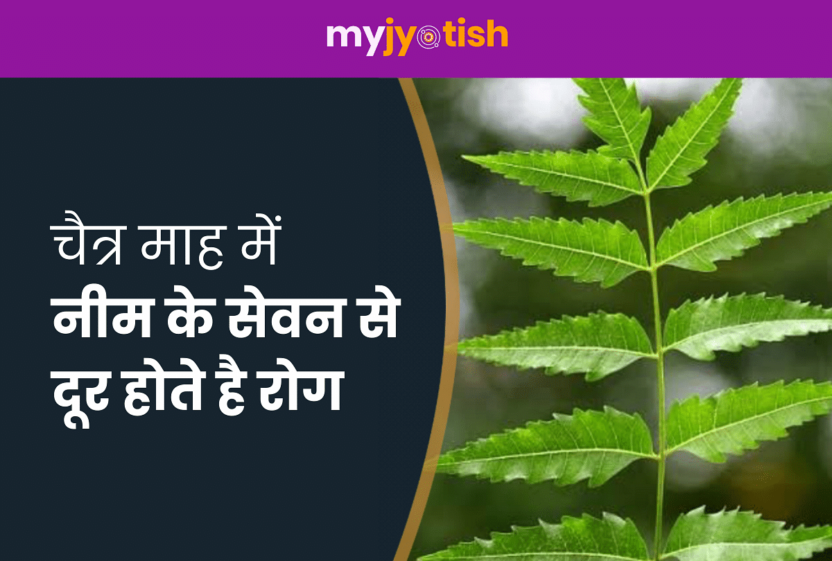 Every disease will be eliminated by the use of neem in Chaitra month