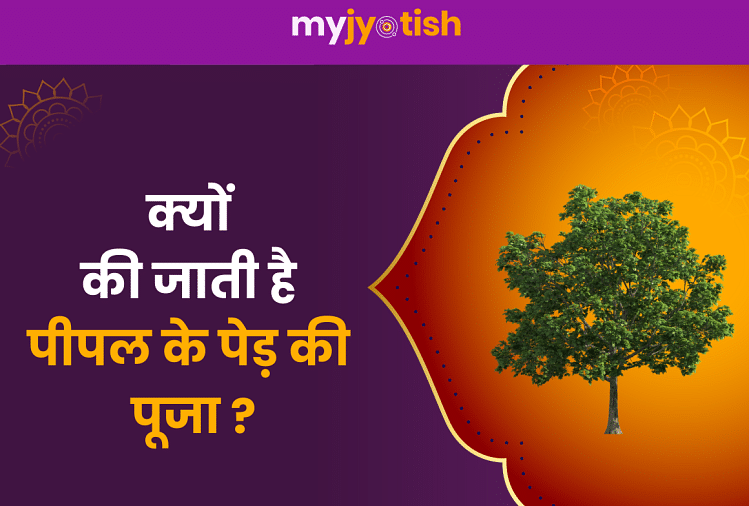 Know why the Peepal tree is worshiped
