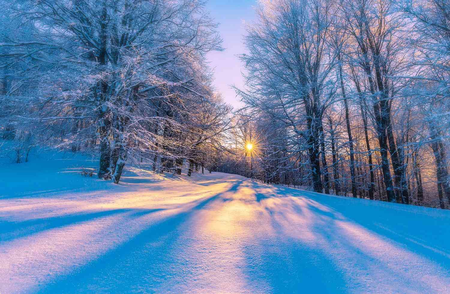 Winter solstice: अब है साल का सबसे छोटा दिन और जानिए कि इसके पीछे का कारण क्या है?