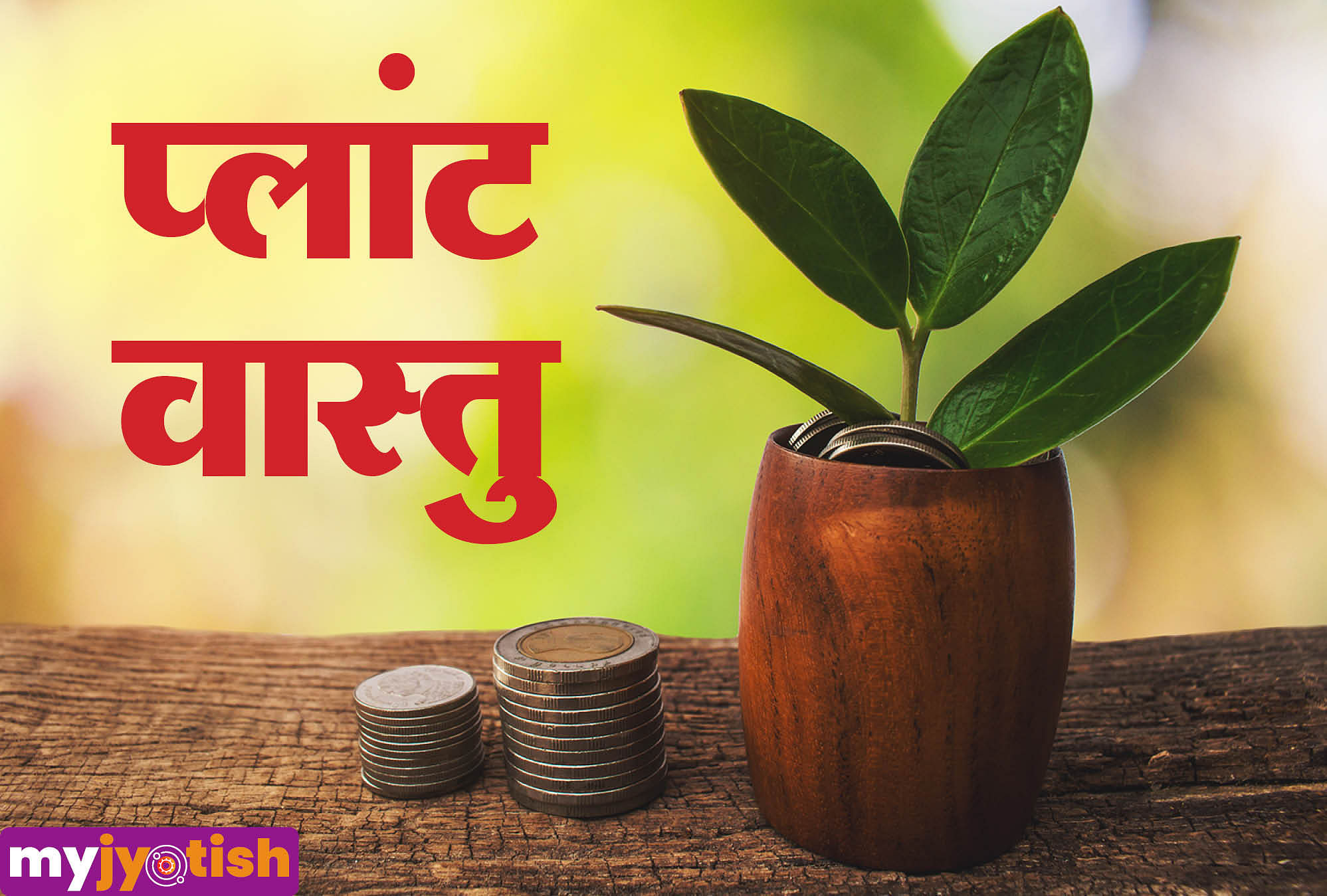 Money Plant Vastu Tips: मनी प्लांट से जुड़े कुछ वास्तु टिप्स, इस तरह घर में आ सकती है खुशहाली