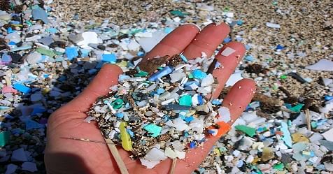 NIO, Tokyo university to study microplastics in Indian waters