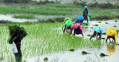Centre Releases Rs 30 Crore For Agri Varsity In Meghalaya 
