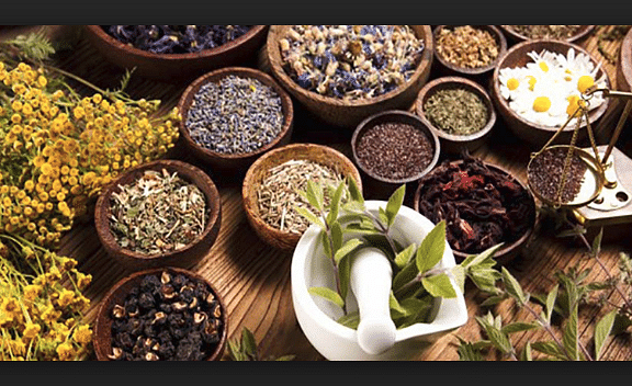 Institute To Establish in Alwar for Ayurveda and Unani Medicine Courses by 2020