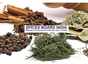 Spices Board of India is Recruiting Spices Extension Trainees, Walk in Test Date is December 7