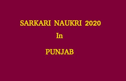 Punjab SSSB Invites Applications for Telephone Operator, Couple Clerk Posts, Check Pay Sale