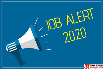 DNH Administration Assistant Teacher Recruitment 2020: Graduate, B.Ed pass candidates can apply for 485 Teaching Posts