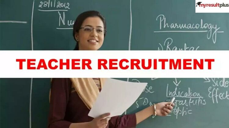 Maharashtra Teacher Recruitment: Govt to Recruit 50,000 Teachers for State Schools, Check Details