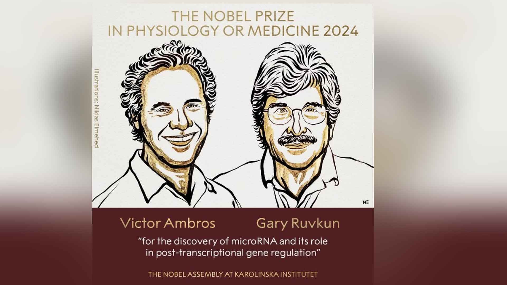 2024 Nobel Prize In Medicine Goes To US Scientists For microRNA Discovery; Read Details Here