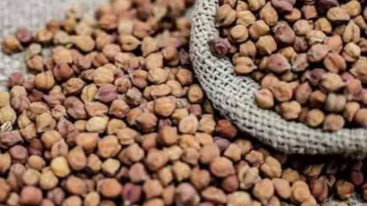 Chana Prices: चना में क्यों दिख रही है इतनी तेजी; आखिर ताव क्यों दिखा ...