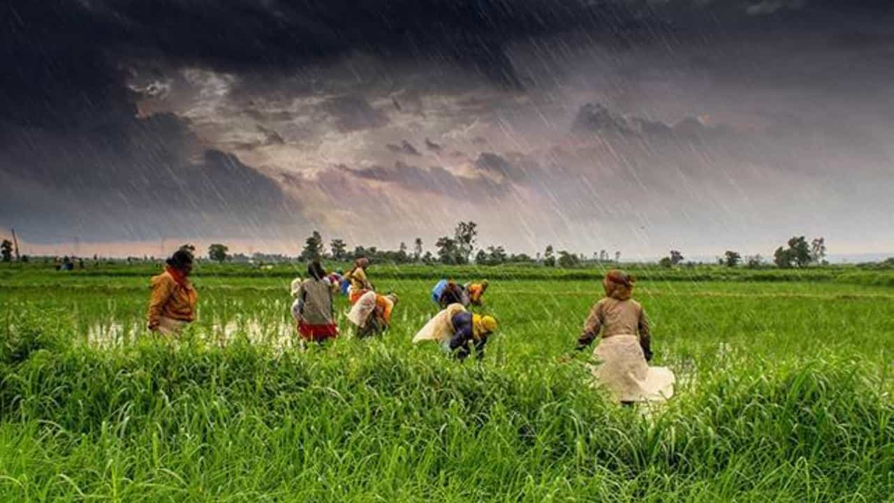 आगामी दिनों में दक्षिण भारत में बादल बरसेंगे, खरीफ फसलों के लिए जुआ।