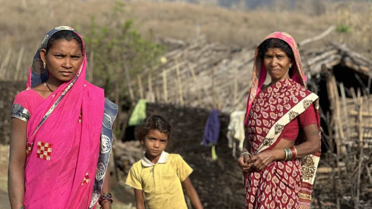जनजातीय कार्य मंत्रालय के संयुक्त सचिव ने बताया कि वन अधिकार कानून के तहत 31 अगस्त 2026 तक देशभर में 54 लाख से अधिक दावे आए।