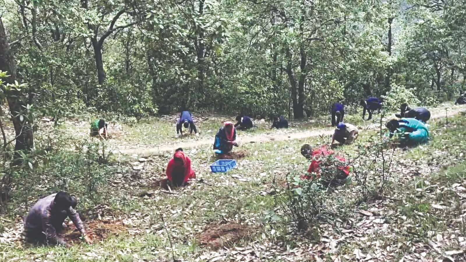 सांकेतिक तस्वीर