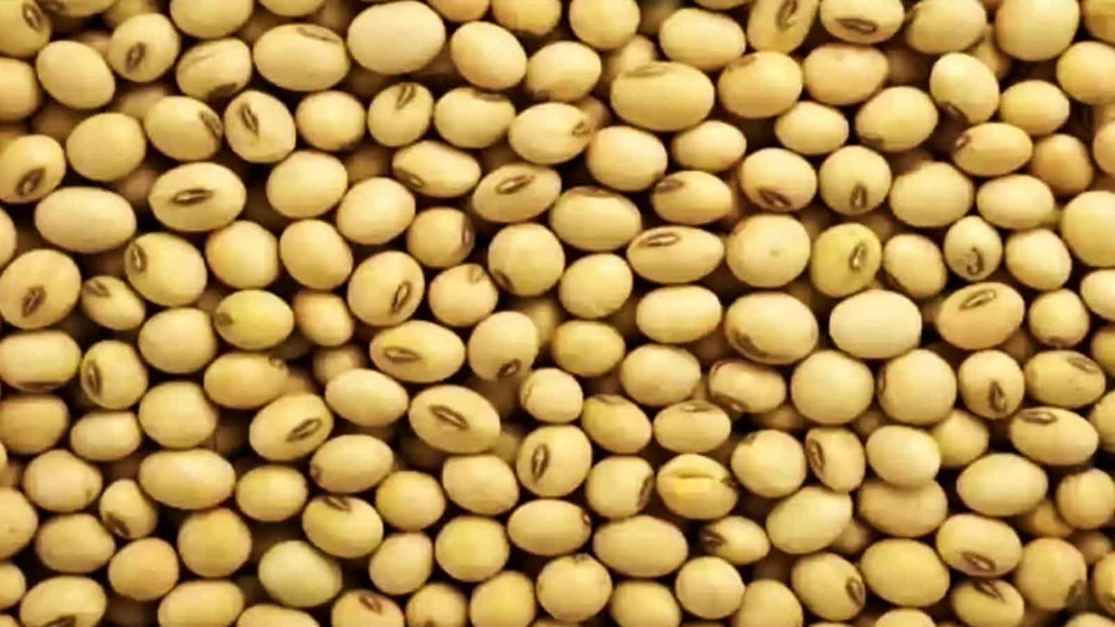 सालाना 100 टन से कम सोयाबीन उगाने वाले नाइजर से भारत ने मंगाया 3.8 लाख टन