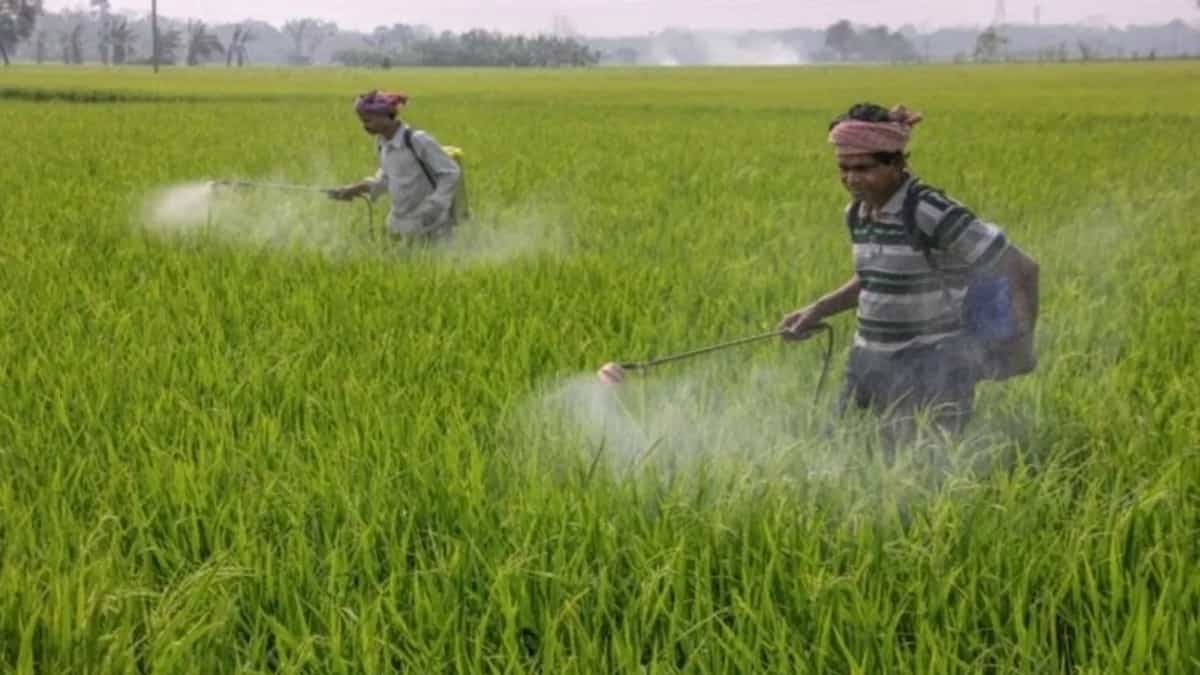 फसल सुरक्षा उत्पादों के घरेलू उत्पादन को मजबूती देने के लिए कच्चे माल-रसायनों का कम लागत में उत्पादन को संभव बनाने के लिए प्रोत्साहन योजना का सुझाव।