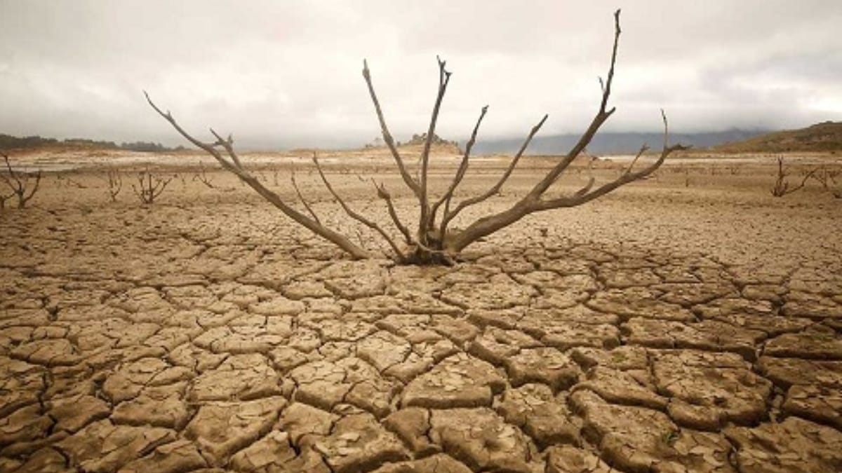 आंध्र प्रदेश: 388 मंडलों में सूखे का असर
